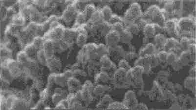 【树脂私塾】大孔树脂和凝胶型树脂
